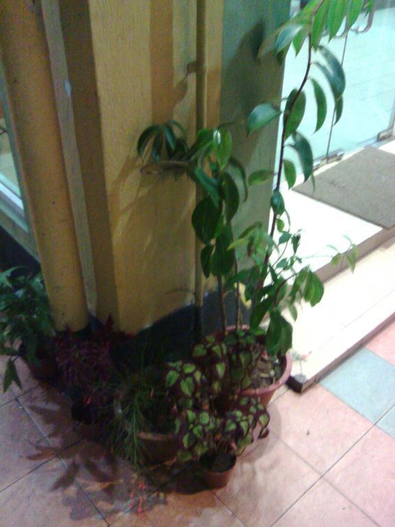 Garden Kota Kinabalu